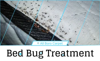 Bed Bug Treatment